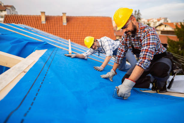 Best Commercial Roofing Services  in Dermott, AR